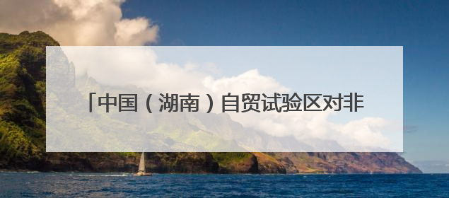 中国（湖南）自贸试验区对非合作创新成果发布 长沙片区对非贸易年均增长141%