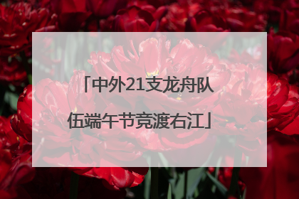 中外21支龙舟队伍端午节竞渡右江