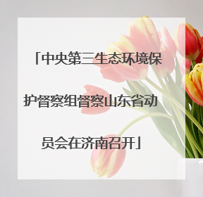 中央第三生态环境保护督察组督察山东省动员会在济南召开