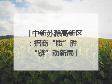中新苏滁高新区：招商“质”胜 “链”动新局