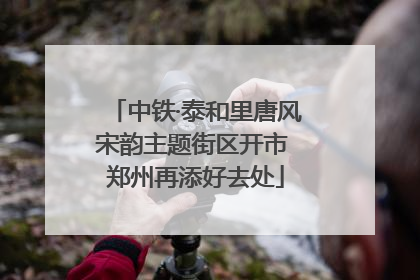 中铁·泰和里唐风宋韵主题街区开市 郑州再添好去处