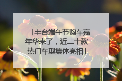 丰台端午节购车嘉年华来了，近二十款热门车型集体亮相