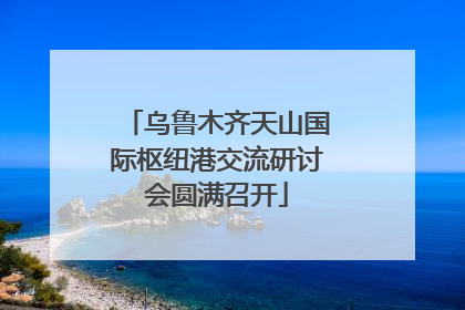 乌鲁木齐天山国际枢纽港交流研讨会圆满召开