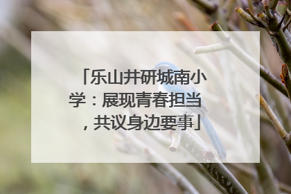 乐山井研城南小学：展现青春担当，共议身边要事