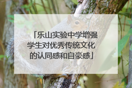 乐山实验中学增强学生对优秀传统文化的认同感和自豪感
