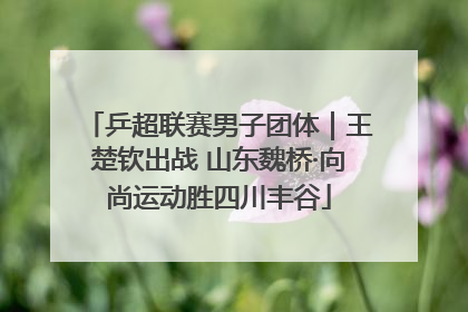 乒超联赛男子团体｜王楚钦出战 山东魏桥·向尚运动胜四川丰谷