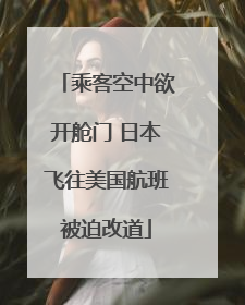 乘客空中欲开舱门 日本飞往美国航班被迫改道