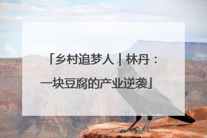 乡村追梦人｜林丹：一块豆腐的产业逆袭