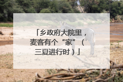 乡政府大院里，麦客有个“家”（三夏进行时）