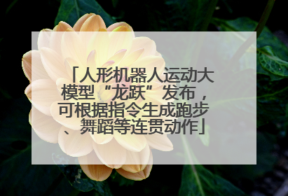 人形机器人运动大模型“龙跃”发布，可根据指令生成跑步、舞蹈等连贯动作