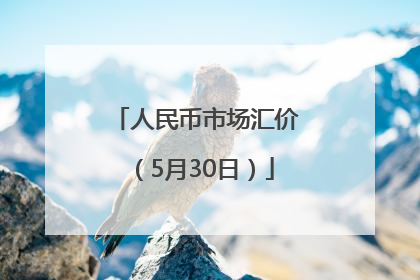 人民币市场汇价（5月30日）