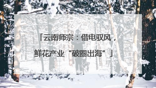 云南师宗：借电驭风，鲜花产业“破圈出海”