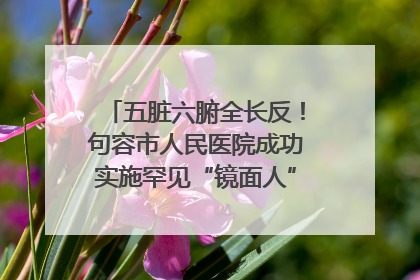 五脏六腑全长反！句容市人民医院成功实施罕见“镜面人”肝癌根治术