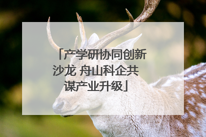 产学研协同创新沙龙 舟山科企共谋产业升级
