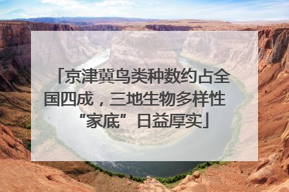 京津冀鸟类种数约占全国四成，三地生物多样性“家底”日益厚实