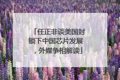 任正非谈美国封锁下中国芯片发展，外媒争相解读