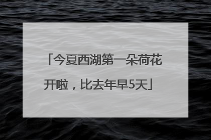 今夏西湖第一朵荷花开啦，比去年早5天