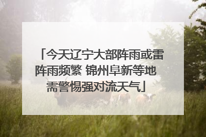 今天辽宁大部阵雨或雷阵雨频繁 锦州阜新等地需警惕强对流天气