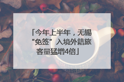 今年上半年，无锡“免签”入境外籍旅客量猛增4倍