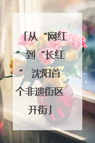 从“网红”到“长红” 沈阳首个非遗街区开街