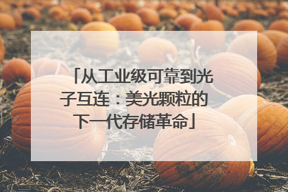 从工业级可靠到光子互连：美光颗粒的下一代存储革命