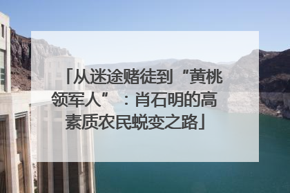 从迷途赌徒到“黄桃领军人”：肖石明的高素质农民蜕变之路