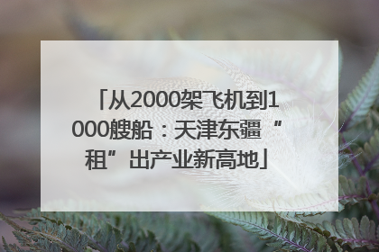 从2000架飞机到1000艘船：天津东疆“租”出产业新高地