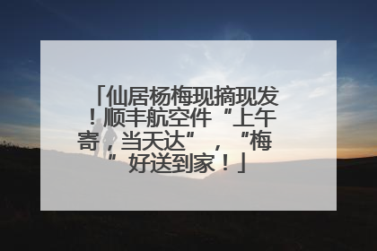仙居杨梅现摘现发！顺丰航空件“上午寄，当天达”，“梅”好送到家！