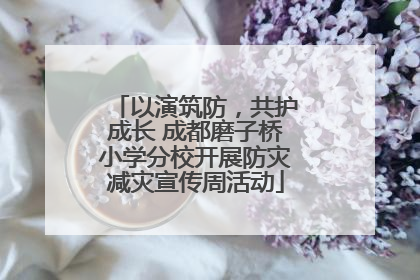 以演筑防，共护成长 成都磨子桥小学分校开展防灾减灾宣传周活动