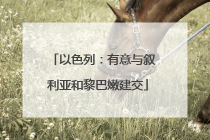 以色列：有意与叙利亚和黎巴嫩建交