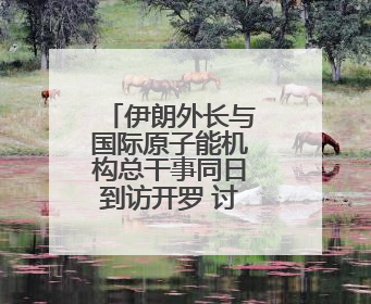 伊朗外长与国际原子能机构总干事同日到访开罗 讨论伊核问题