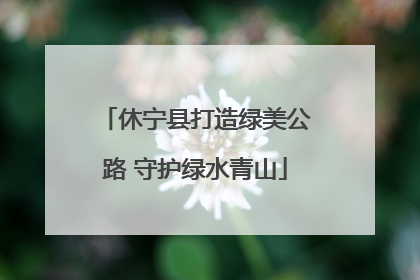 休宁县打造绿美公路 守护绿水青山