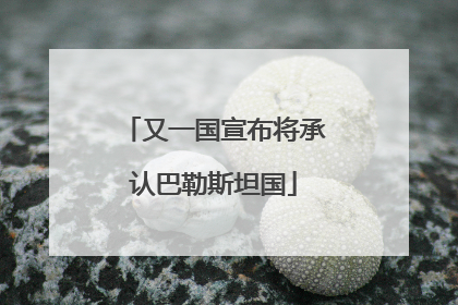 又一国宣布将承认巴勒斯坦国
