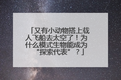 又有小动物搭上载人飞船去太空了！为什么模式生物能成为“探索代表”？