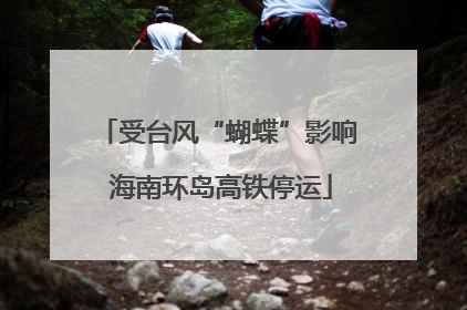 受台风“蝴蝶”影响 海南环岛高铁停运