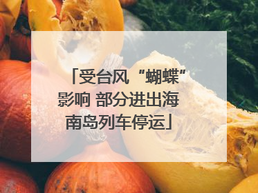 受台风“蝴蝶”影响 部分进出海南岛列车停运
