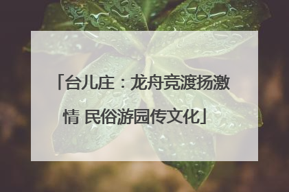台儿庄：龙舟竞渡扬激情 民俗游园传文化