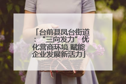 台前县凤台街道：“三向发力”优化营商环境 赋能企业发展新活力