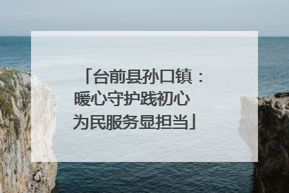 台前县孙口镇：暖心守护践初心 为民服务显担当