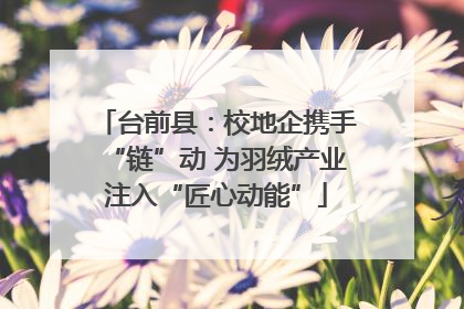 台前县：校地企携手“链”动 为羽绒产业注入“匠心动能”