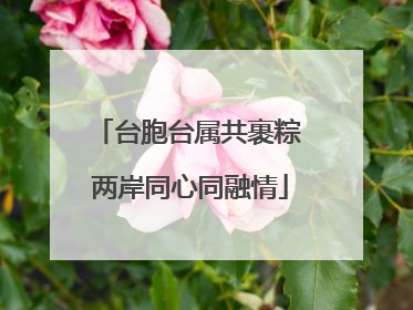 台胞台属共裹粽 两岸同心同融情