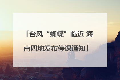 台风“蝴蝶”临近 海南四地发布停课通知