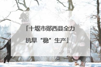 十堰市郧西县全力抗旱“稳”生产