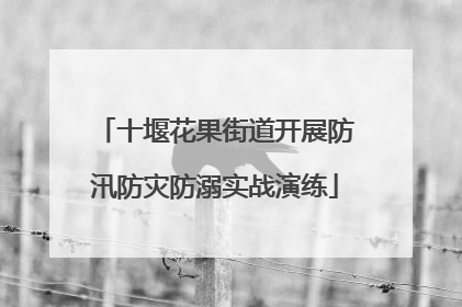 十堰花果街道开展防汛防灾防溺实战演练