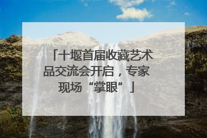 十堰首届收藏艺术品交流会开启，专家现场“掌眼”