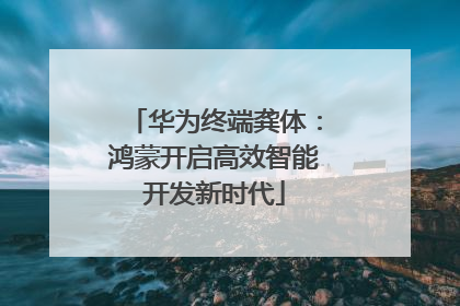 华为终端龚体：鸿蒙开启高效智能开发新时代