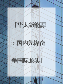 华太新能源：国内先锋奋争国际龙头