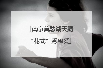 南京莫愁湖天鹅“花式”秀恩爱