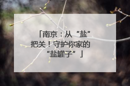 南京：从“盐”把关！守护你家的“盐罐子”
