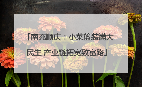南充顺庆：小菜篮装满大民生 产业链拓宽致富路